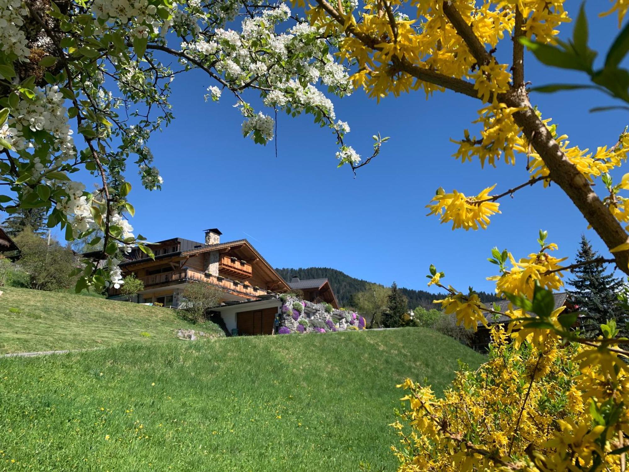 Chalet La Renarde Villars-sur-Ollon Exterior photo